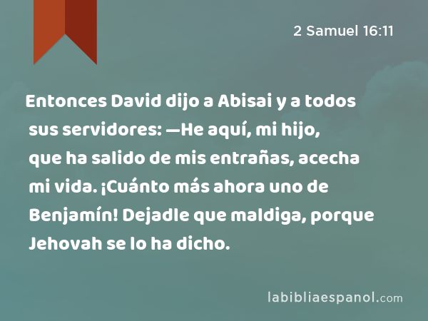 Entonces David dijo a Abisai y a todos sus servidores: —He aquí, mi hijo, que ha salido de mis entrañas, acecha mi vida. ¡Cuánto más ahora uno de Benjamín! Dejadle que maldiga, porque Jehovah se lo ha dicho. - 2 Samuel 16:11