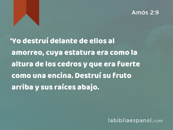 'Yo destruí delante de ellos al amorreo, cuya estatura era como la altura de los cedros y que era fuerte como una encina. Destruí su fruto arriba y sus raíces abajo. - Amós 2:9