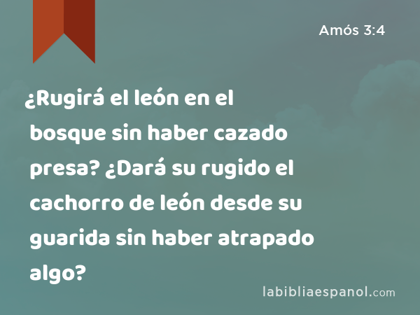 ¿Rugirá el león en el bosque sin haber cazado presa? ¿Dará su rugido el cachorro de león desde su guarida sin haber atrapado algo? - Amós 3:4