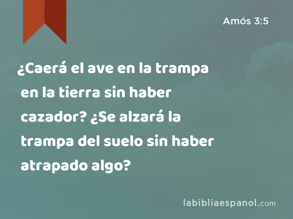 ¿Caerá el ave en la trampa en la tierra sin haber cazador? ¿Se alzará la trampa del suelo sin haber atrapado algo? - Amós 3:5