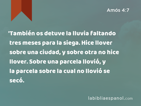 'También os detuve la lluvia faltando tres meses para la siega. Hice llover sobre una ciudad, y sobre otra no hice llover. Sobre una parcela llovió, y la parcela sobre la cual no llovió se secó. - Amós 4:7