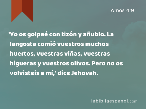 'Yo os golpeé con tizón y añublo. La langosta comió vuestros muchos huertos, vuestras viñas, vuestras higueras y vuestros olivos. Pero no os volvisteis a mí,' dice Jehovah. - Amós 4:9