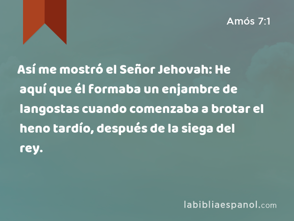 Así me mostró el Señor Jehovah: He aquí que él formaba un enjambre de langostas cuando comenzaba a brotar el heno tardío, después de la siega del rey. - Amós 7:1