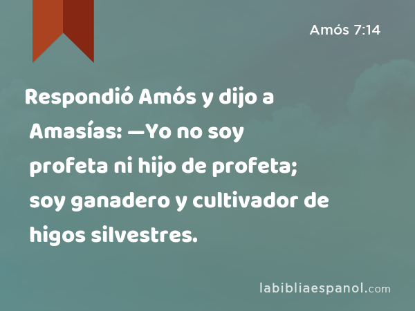 Respondió Amós y dijo a Amasías: —Yo no soy profeta ni hijo de profeta; soy ganadero y cultivador de higos silvestres. - Amós 7:14