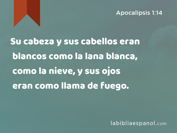 Su cabeza y sus cabellos eran blancos como la lana blanca, como la nieve, y sus ojos eran como llama de fuego. - Apocalipsis 1:14