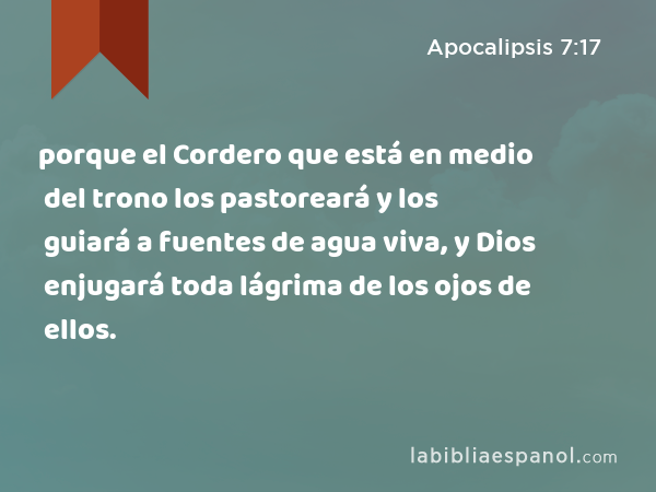 porque el Cordero que está en medio del trono los pastoreará y los guiará a fuentes de agua viva, y Dios enjugará toda lágrima de los ojos de ellos. - Apocalipsis 7:17