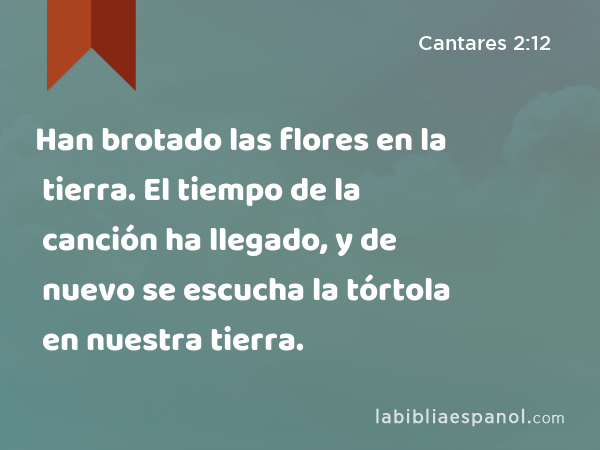 Han brotado las flores en la tierra. El tiempo de la canción ha llegado, y de nuevo se escucha la tórtola en nuestra tierra. - Cantares 2:12