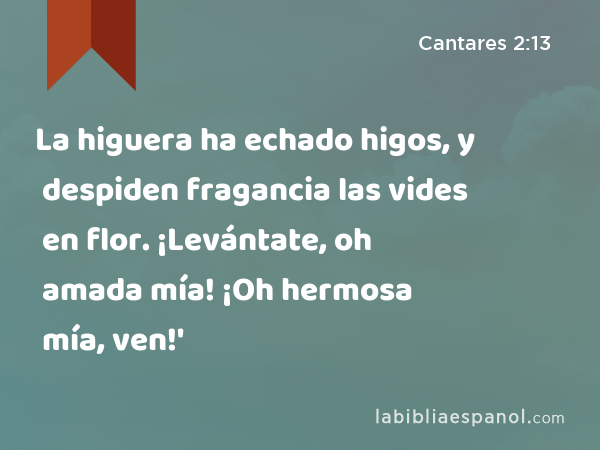 La higuera ha echado higos, y despiden fragancia las vides en flor. ¡Levántate, oh amada mía! ¡Oh hermosa mía, ven!' - Cantares 2:13