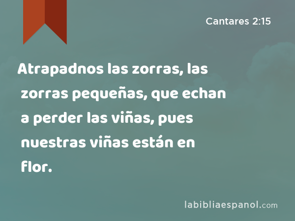 Atrapadnos las zorras, las zorras pequeñas, que echan a perder las viñas, pues nuestras viñas están en flor. - Cantares 2:15