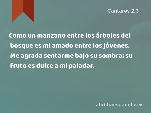 Como un manzano entre los árboles del bosque es mi amado entre los jóvenes. Me agrada sentarme bajo su sombra; su fruto es dulce a mi paladar. - Cantares 2:3