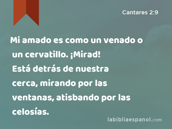 Mi amado es como un venado o un cervatillo. ¡Mirad! Está detrás de nuestra cerca, mirando por las ventanas, atisbando por las celosías. - Cantares 2:9