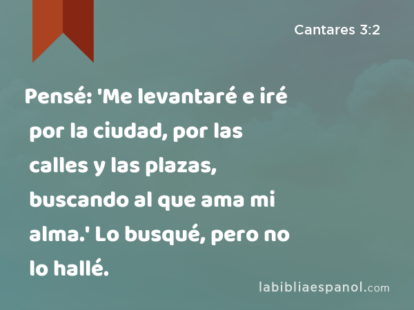 Pensé: 'Me levantaré e iré por la ciudad, por las calles y las plazas, buscando al que ama mi alma.' Lo busqué, pero no lo hallé. - Cantares 3:2