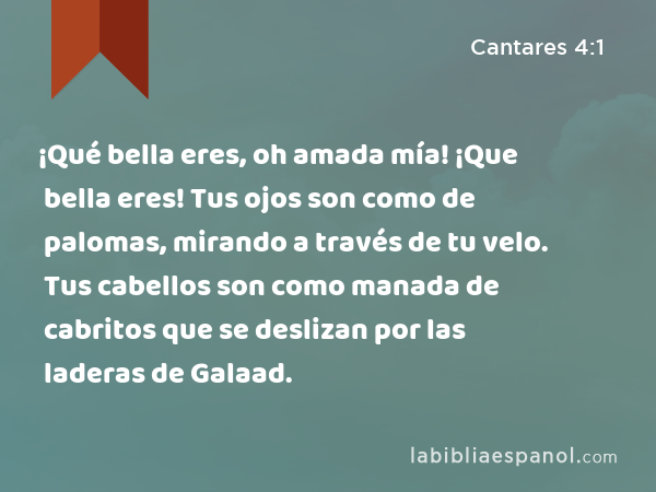 ¡Qué bella eres, oh amada mía! ¡Que bella eres! Tus ojos son como de palomas, mirando a través de tu velo. Tus cabellos son como manada de cabritos que se deslizan por las laderas de Galaad. - Cantares 4:1