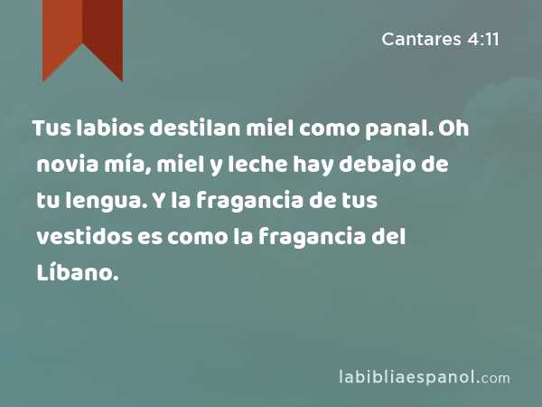 Tus labios destilan miel como panal. Oh novia mía, miel y leche hay debajo de tu lengua. Y la fragancia de tus vestidos es como la fragancia del Líbano. - Cantares 4:11