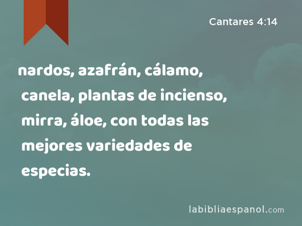 nardos, azafrán, cálamo, canela, plantas de incienso, mirra, áloe, con todas las mejores variedades de especias. - Cantares 4:14