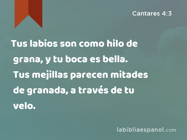 Tus labios son como hilo de grana, y tu boca es bella. Tus mejillas parecen mitades de granada, a través de tu velo. - Cantares 4:3