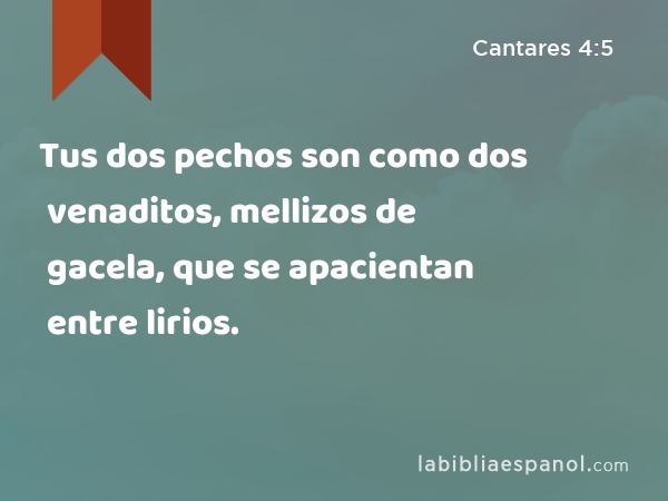 Tus dos pechos son como dos venaditos, mellizos de gacela, que se apacientan entre lirios. - Cantares 4:5