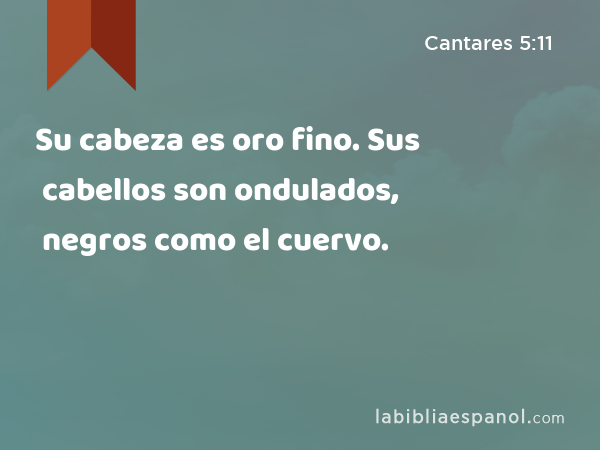 Su cabeza es oro fino. Sus cabellos son ondulados, negros como el cuervo. - Cantares 5:11