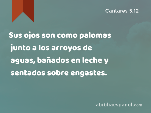 Sus ojos son como palomas junto a los arroyos de aguas, bañados en leche y sentados sobre engastes. - Cantares 5:12