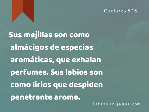 Sus mejillas son como almácigos de especias aromáticas, que exhalan perfumes. Sus labios son como lirios que despiden penetrante aroma. - Cantares 5:13