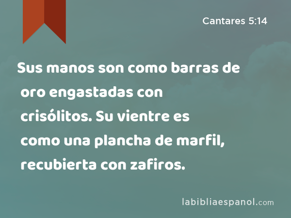 Sus manos son como barras de oro engastadas con crisólitos. Su vientre es como una plancha de marfil, recubierta con zafiros. - Cantares 5:14