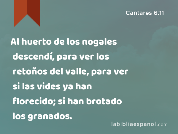 Al huerto de los nogales descendí, para ver los retoños del valle, para ver si las vides ya han florecido; si han brotado los granados. - Cantares 6:11