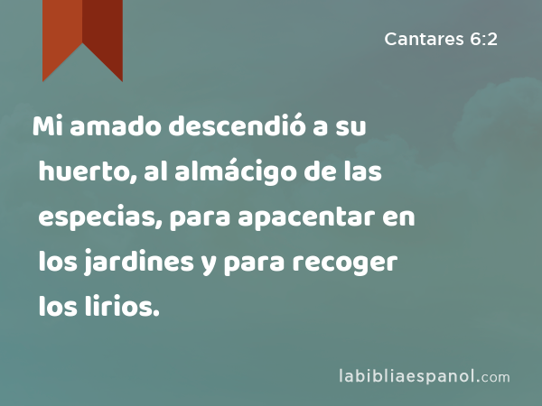 Mi amado descendió a su huerto, al almácigo de las especias, para apacentar en los jardines y para recoger los lirios. - Cantares 6:2