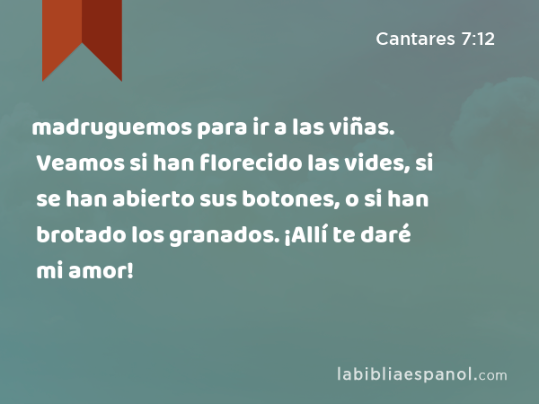 madruguemos para ir a las viñas. Veamos si han florecido las vides, si se han abierto sus botones, o si han brotado los granados. ¡Allí te daré mi amor! - Cantares 7:12