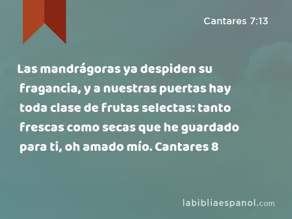 Las mandrágoras ya despiden su fragancia, y a nuestras puertas hay toda clase de frutas selectas: tanto frescas como secas que he guardado para ti, oh amado mío. Cantares 8 - Cantares 7:13