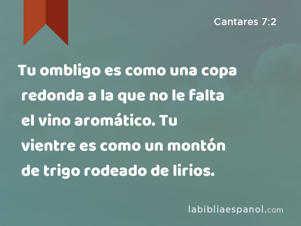 Tu ombligo es como una copa redonda a la que no le falta el vino aromático. Tu vientre es como un montón de trigo rodeado de lirios. - Cantares 7:2