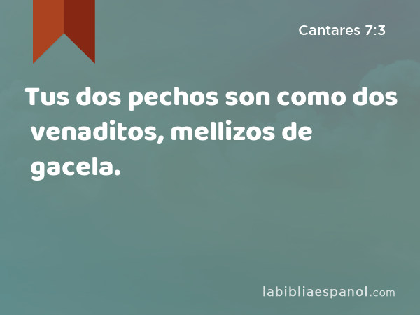 Tus dos pechos son como dos venaditos, mellizos de gacela. - Cantares 7:3