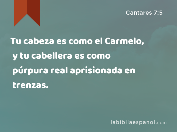 Tu cabeza es como el Carmelo, y tu cabellera es como púrpura real aprisionada en trenzas. - Cantares 7:5