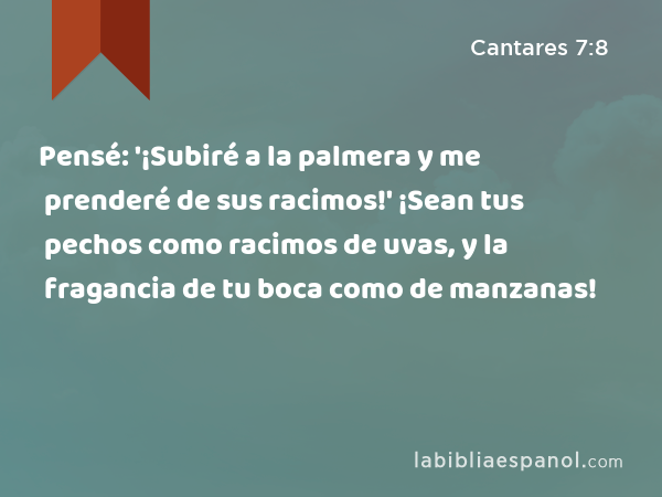 Pensé: '¡Subiré a la palmera y me prenderé de sus racimos!' ¡Sean tus pechos como racimos de uvas, y la fragancia de tu boca como de manzanas! - Cantares 7:8