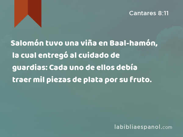 Salomón tuvo una viña en Baal-hamón, la cual entregó al cuidado de guardias: Cada uno de ellos debía traer mil piezas de plata por su fruto. - Cantares 8:11