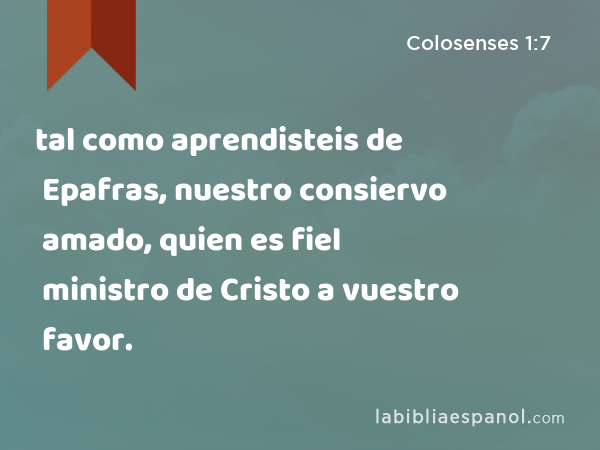 tal como aprendisteis de Epafras, nuestro consiervo amado, quien es fiel ministro de Cristo a vuestro favor. - Colosenses 1:7