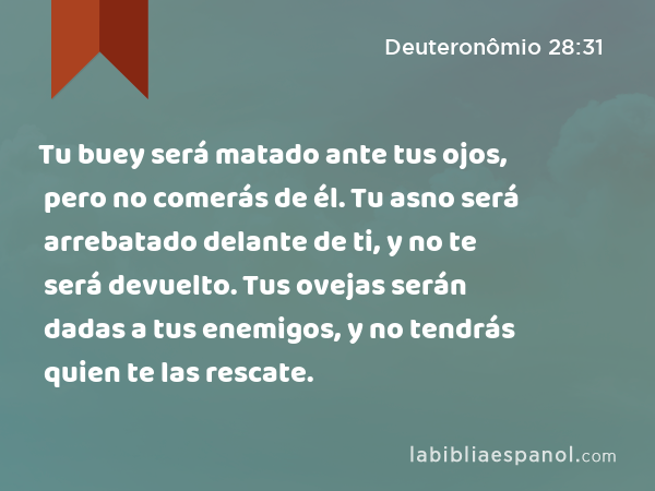 Tu buey será matado ante tus ojos, pero no comerás de él. Tu asno será arrebatado delante de ti, y no te será devuelto. Tus ovejas serán dadas a tus enemigos, y no tendrás quien te las rescate. - Deuteronômio 28:31