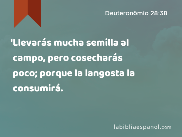 'Llevarás mucha semilla al campo, pero cosecharás poco; porque la langosta la consumirá. - Deuteronômio 28:38