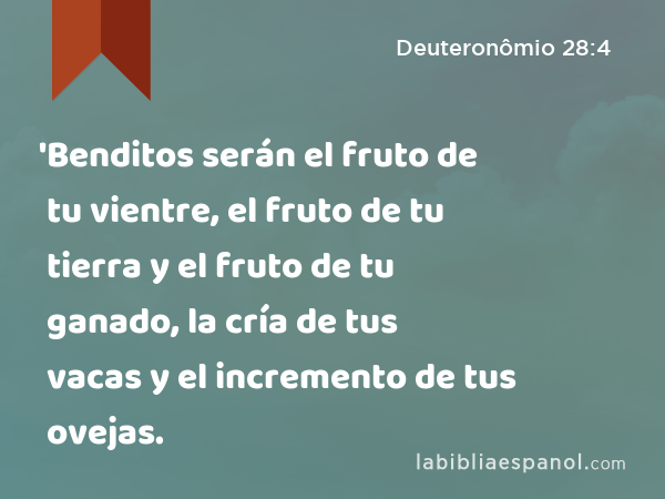 'Benditos serán el fruto de tu vientre, el fruto de tu tierra y el fruto de tu ganado, la cría de tus vacas y el incremento de tus ovejas. - Deuteronômio 28:4