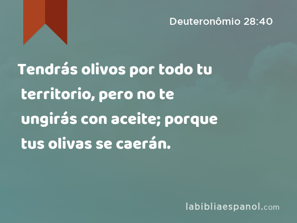 Tendrás olivos por todo tu territorio, pero no te ungirás con aceite; porque tus olivas se caerán. - Deuteronômio 28:40