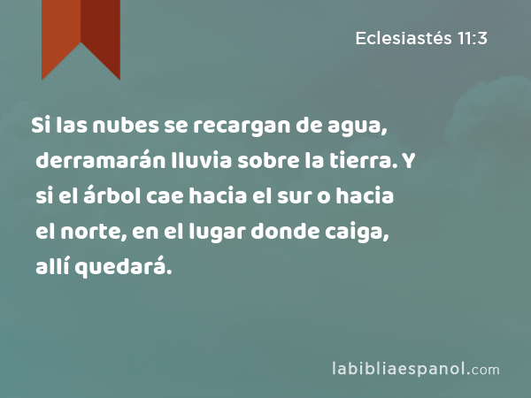 Si las nubes se recargan de agua, derramarán lluvia sobre la tierra. Y si el árbol cae hacia el sur o hacia el norte, en el lugar donde caiga, allí quedará. - Eclesiastés 11:3