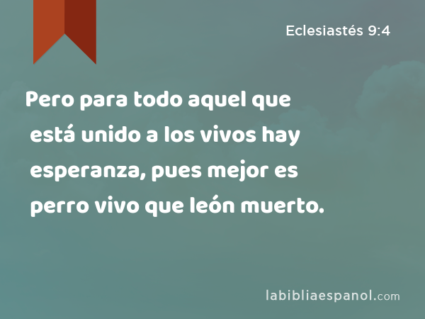 Pero para todo aquel que está unido a los vivos hay esperanza, pues mejor es perro vivo que león muerto. - Eclesiastés 9:4