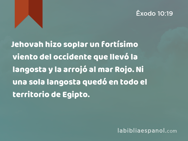 Jehovah hizo soplar un fortísimo viento del occidente que llevó la langosta y la arrojó al mar Rojo. Ni una sola langosta quedó en todo el territorio de Egipto. - Êxodo 10:19