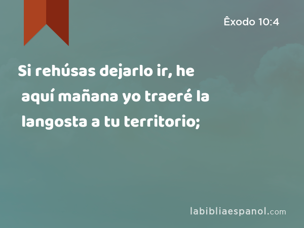 Si rehúsas dejarlo ir, he aquí mañana yo traeré la langosta a tu territorio; - Êxodo 10:4