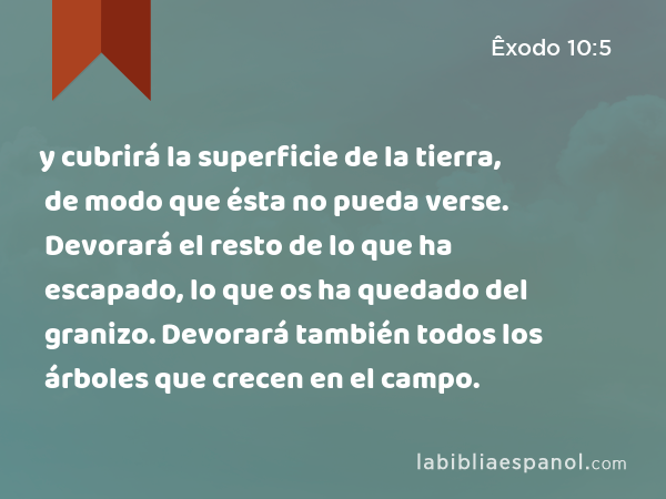 y cubrirá la superficie de la tierra, de modo que ésta no pueda verse. Devorará el resto de lo que ha escapado, lo que os ha quedado del granizo. Devorará también todos los árboles que crecen en el campo. - Êxodo 10:5