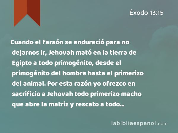 Cuando el faraón se endureció para no dejarnos ir, Jehovah mató en la tierra de Egipto a todo primogénito, desde el primogénito del hombre hasta el primerizo del animal. Por esta razón yo ofrezco en sacrificio a Jehovah todo primerizo macho que abre la matriz y rescato a todo primogénito de mis hijos.' - Êxodo 13:15