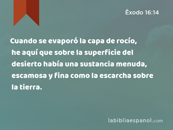 Cuando se evaporó la capa de rocío, he aquí que sobre la superficie del desierto había una sustancia menuda, escamosa y fina como la escarcha sobre la tierra. - Êxodo 16:14