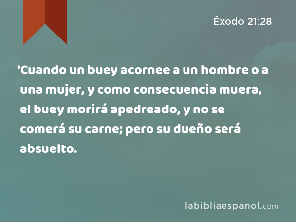 'Cuando un buey acornee a un hombre o a una mujer, y como consecuencia muera, el buey morirá apedreado, y no se comerá su carne; pero su dueño será absuelto. - Êxodo 21:28