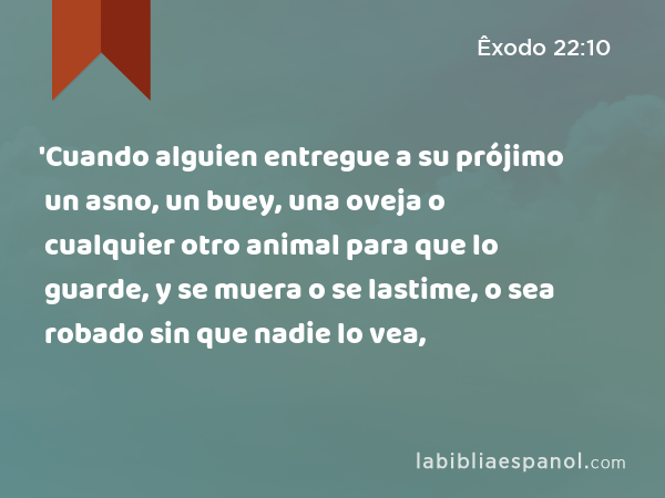 'Cuando alguien entregue a su prójimo un asno, un buey, una oveja o cualquier otro animal para que lo guarde, y se muera o se lastime, o sea robado sin que nadie lo vea, - Êxodo 22:10