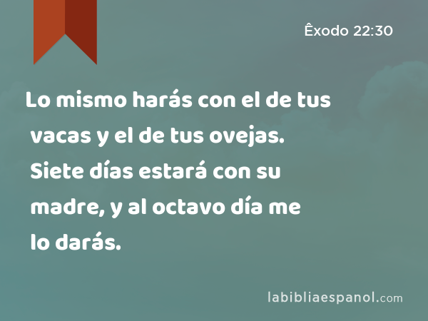 Lo mismo harás con el de tus vacas y el de tus ovejas. Siete días estará con su madre, y al octavo día me lo darás. - Êxodo 22:30