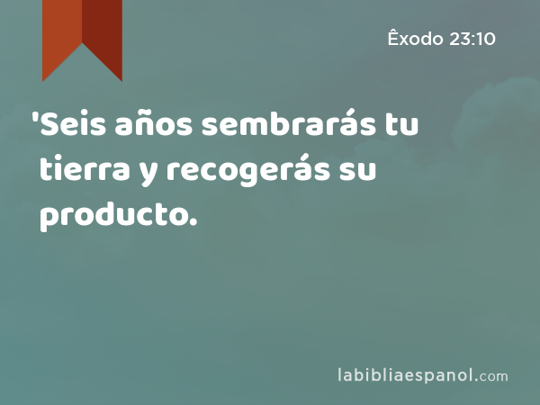 'Seis años sembrarás tu tierra y recogerás su producto. - Êxodo 23:10